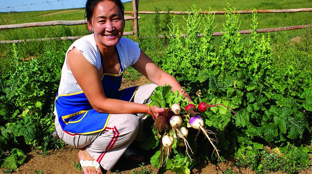 Steppe Nomads Eco Resort At Gungaluut Ulan Bator Exterior foto
